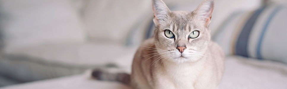 Weitere Informationen: